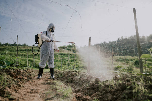 Best Ant Control Services  in Trappe, MD