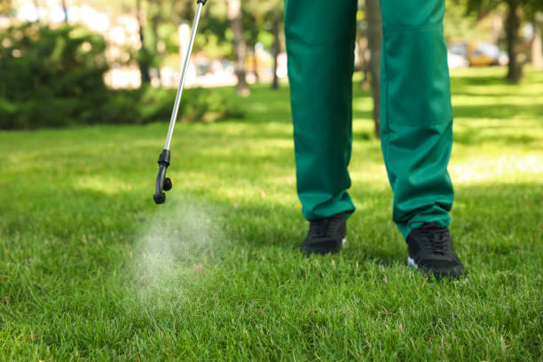 Best Rat Extermination Near Me  in Trappe, MD