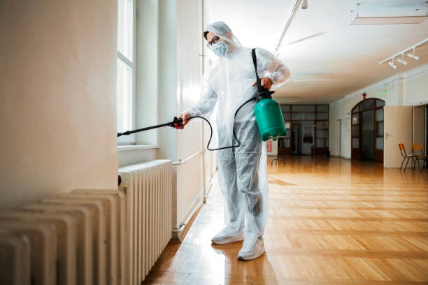 Reliable Trappe, MD Pest Control Solutions